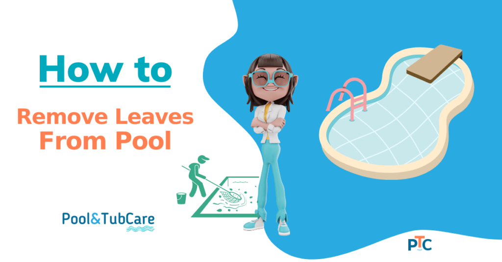 How to remove leaves from the pool